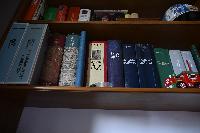 _GCR6030.JPG