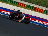 _MG_6266.jpg