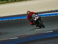_MG_7064.jpg