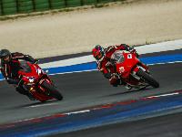 _MG_7084.jpg