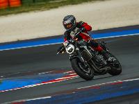 _MG_7104.jpg