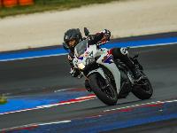 _MG_7118.jpg