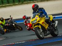_MG_7122.jpg