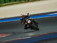 _MG_7131.jpg