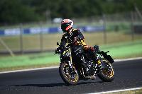 GM9_2635.JPG